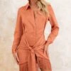 Rust Satin Drape Detail Tassel Hem Shirt Dress -Cheap Dress Store 98a05f2dc5ebec7634e82bc8a2ee968a8a0c359c cnd7686 1