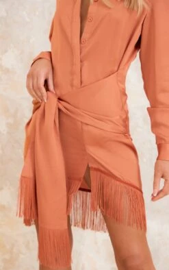Rust Satin Drape Detail Tassel Hem Shirt Dress 10 Rust Satin Drape Detail Tassel Hem Shirt Dress -Cheap Dress Store cff880acdf88b09645ba322bb6fd4301f0622f3e cnd7686 4